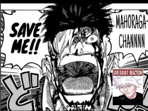 'If you're unsure who is going to win, Always bet on hakari' (Full .